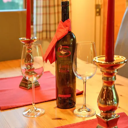 Wildschoenau Near Sauna Prázdninový dům *